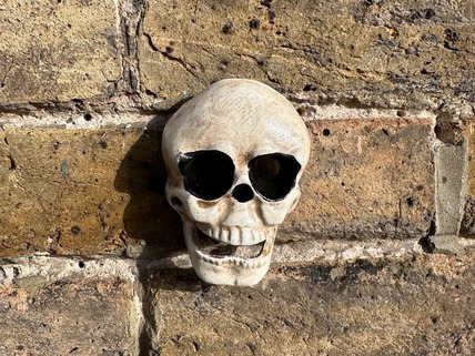 skull bottle opener